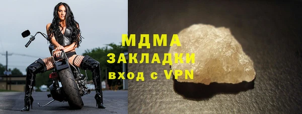 индика Волоколамск