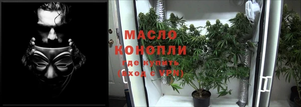 индика Вязьма