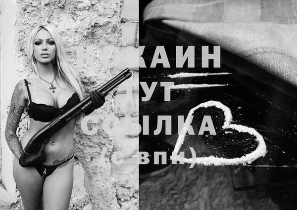 индика Волоколамск