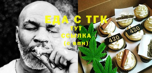 индика Волоколамск