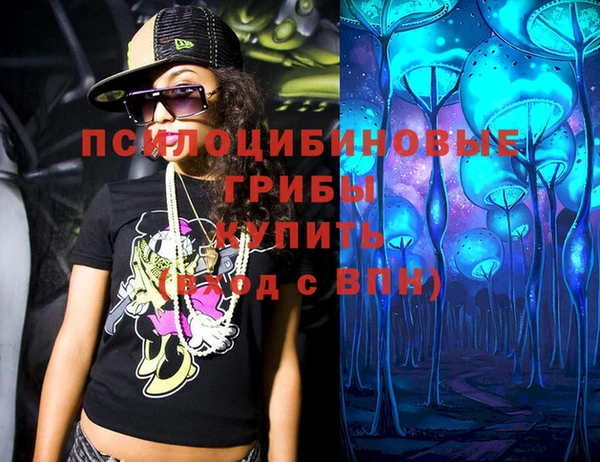индика Волоколамск