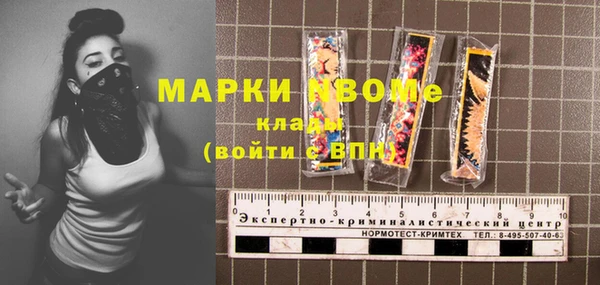 индика Волоколамск