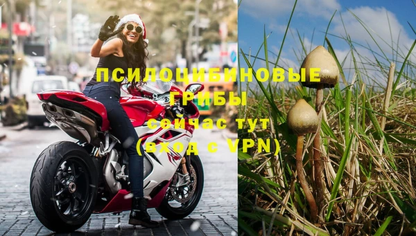 индика Волоколамск