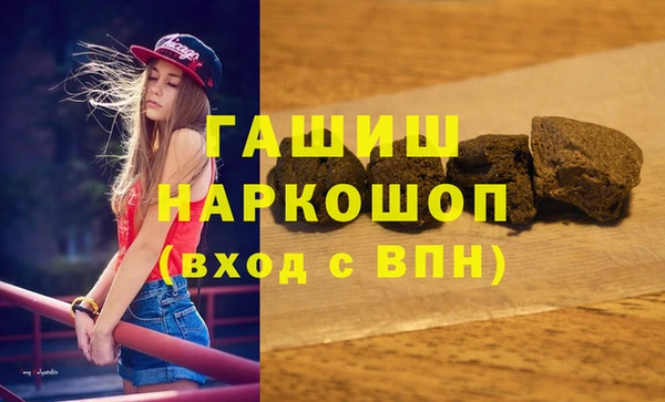 индика Вязьма