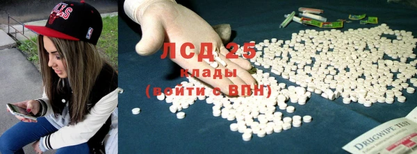 ГАЛЛЮЦИНОГЕННЫЕ ГРИБЫ Вяземский