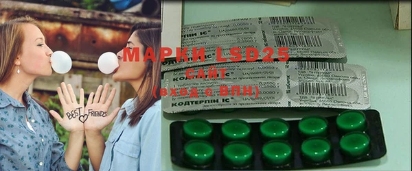ГАЛЛЮЦИНОГЕННЫЕ ГРИБЫ Вяземский