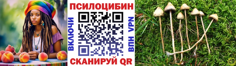 Галлюциногенные грибы Magic Shrooms  Лысково 